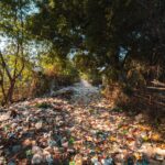 slideshow-9-waldweg-plastik